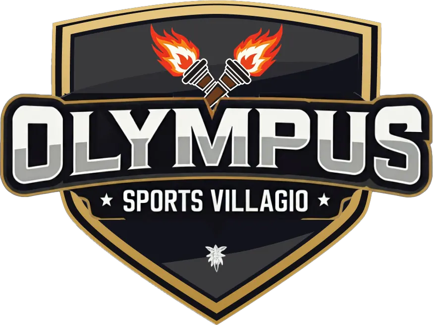 Logistics Cricket Championship Logo