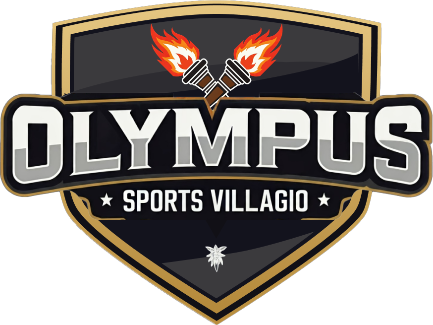 Logistics Cricket Championship Logo